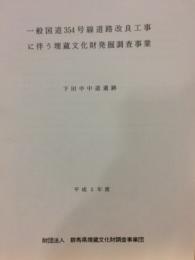 一般国道354号線道路改良工事に伴う埋蔵文化物発掘報告書　下田中中道遺跡