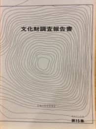 文化財調査報告書