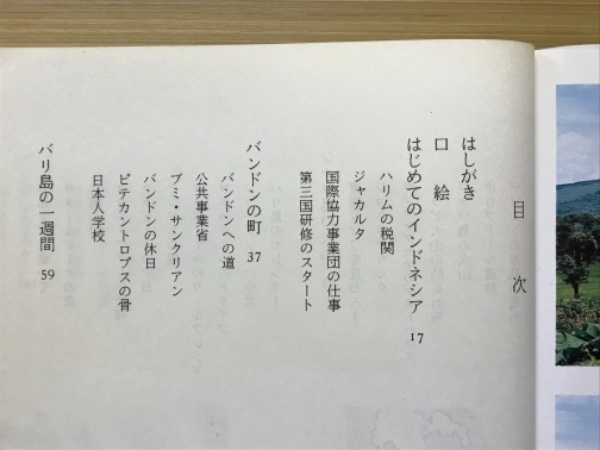 Amazon.co.jp: インドネシアの旅: ジャワとバリの火山を訪ねて
