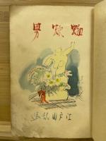 蜘蛛男 : 評判小説