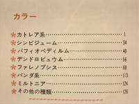 洋ラン : 美しい花の咲かせ方 種類と栽培入門