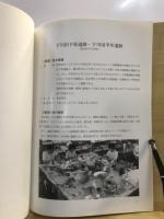 一般国道17号(沼田バイパス)改築工事に伴う埋蔵文化財整理事業：下川田下原遺跡 下川田平井遺跡