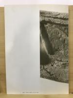 下野国分寺跡