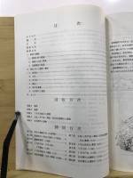 新邸遺跡発掘調査報告書
