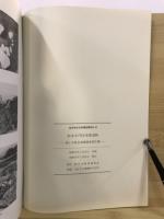 松本市内田雨堀遺跡 : 緊急発掘調査報告書