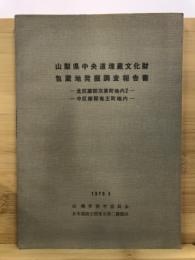 山梨県中央道埋蔵文化財包蔵地発掘調査報告書