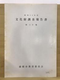 文化財調査報告書