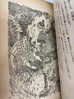 時代小説 戦国乱刀伝