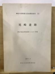 神奈川県埋蔵文化財調査報告