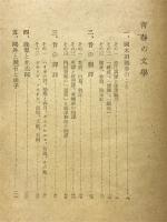 青春の文学