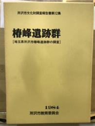 椿峰遺跡群 : 埼玉県所沢市椿峰遺跡群の調査