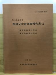 埋蔵文化財調査報告書