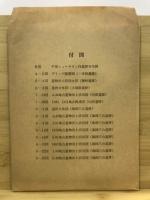 千葉ニュータウン埋蔵文化財調査報告書