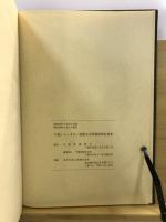 千葉ニュータウン埋蔵文化財調査報告書