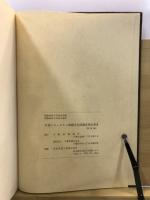 千葉ニュータウン埋蔵文化財調査報告書