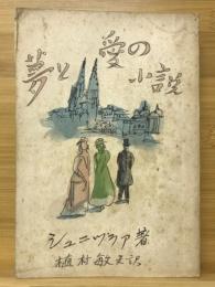 夢と愛の小説