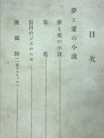 夢と愛の小説