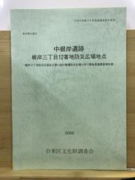 中根岸遺跡 : 根岸三丁目12番地防災広場地点 根岸3丁目防災広場及び通り抜け整備防災広場に伴う緊急発掘調査報告書