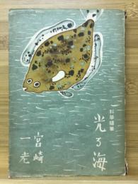 光る海 : 科学随筆