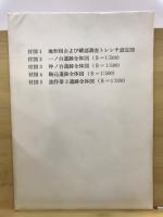 平賀 : 平賀遺跡群発掘調査報告書