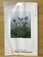 礼文島・花のガイド
