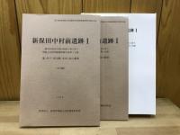 新保田中村前遺跡 : 一級河川染谷川河川改修工事に伴う埋蔵文化財発掘調査報告書第1分冊