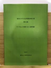 キツネ山古墳群