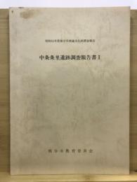 中条条里遺跡調査報告書