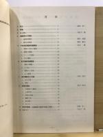 中条条里遺跡調査報告書