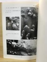 万吉西浦遺跡調査概報