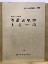 寺前古墳群・大道古墳