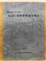 東京都八王子市no.443遺跡発掘調査報告