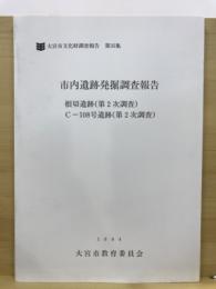 根切遺跡(第2次調査) ; C-108号遺跡(第2次調査)