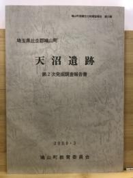 天沼遺跡 : 発掘調査報告書