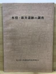 水窪・新井遺跡の調査