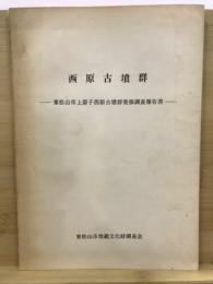 西原古墳群 : 東松山市上唐子西原古墳群発掘調査報告書