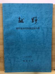 越野 : 越野遺跡発掘調査報告書