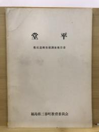 堂平 : 敷石遺構発掘調査報告書