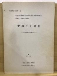中通り下遺跡 : 緊急発掘調査報告書