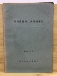 馬場遺跡第二次調査報告