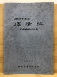 「澤遺跡」発掘調査報告書