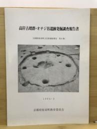 高岸古墳群・オテジ谷遺跡発掘調査報告書