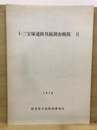 十三宝塚遺跡発掘調査概報