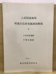 上武国道地域埋蔵文化財発掘調査概報