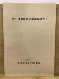 神川村遺跡群発掘調査報告