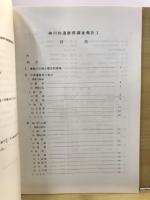 神川村遺跡群発掘調査報告