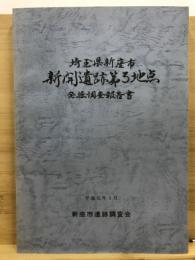 新開遺跡第3地点発掘調査報告書