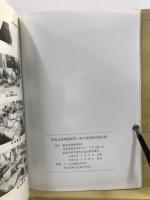 新開遺跡第3地点発掘調査報告書