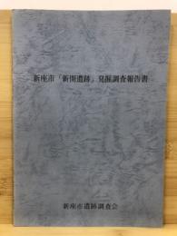 「新開遺跡」発掘調査報告書