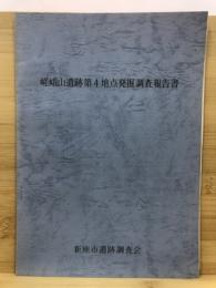 嵯峨山遺跡第4地点発掘調査報告書